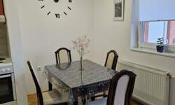 Dvosoban stan, Novi Sad, izdavanje, 50m2, 400e, id1476709