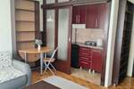 Garsonjera, Novi Sad, izdavanje, 29m2, 280e, id1476711