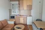 Garsonjera, Beograd, FON, izdavanje, 24m2, 350e, id1476757