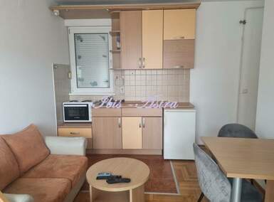 Garsonjera, Beograd, FON, izdavanje, 24m2, 350e, id1476757