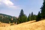 Plac, Kopaonik, prodaja, 500m2, 3500e, id1476904