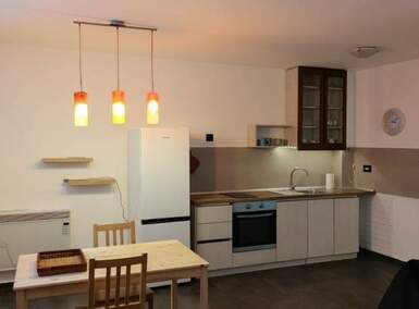 Trosoban stan, Beograd, Sava Kovačević, izdavanje, 50m2, 550e, id1476926