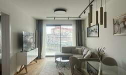 Dvosoban stan, Beograd, Dorćol, izdavanje, 50m2, 1150e, id1476996