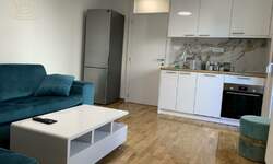 Dvosoban stan, Beograd, Blok 24 , izdavanje, 40m2, 700e, id1477057