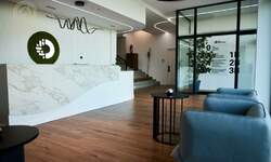 Poslovni prostor / Lokal, Novi Sad, izdavanje, 570m2, 5500e, id1477208