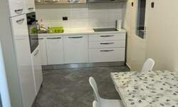 Dvosoban stan, Novi Sad, izdavanje, 53m2, 550e, id1477258