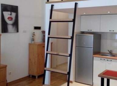 Jednosoban stan, Novi Sad, izdavanje, 33m2, 330e, id1477580