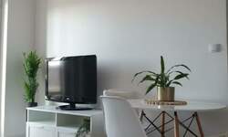 Dvosoban stan, Novi Sad, izdavanje, 40m2, 500e, id1477796