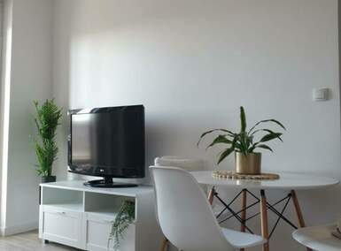 Dvosoban stan, Novi Sad, izdavanje, 40m2, 500e, id1477796