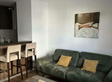 Dvosoban stan, Beograd, Južni bulevar, izdavanje, 50m2, 900e, id1477938