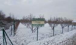 Plac, Kragujevac, prodaja, 0m2, 24720e, id1478019