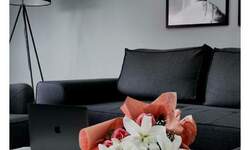 Dvosoban stan, Beograd, Vojvode Vlahovića, izdavanje, 55m2, 600e, id1478107