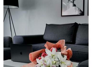 Dvosoban stan, Beograd, Vojvode Vlahovića, izdavanje, 55m2, 600e, id1478107