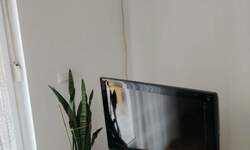 Jednosoban stan, Novi Sad, izdavanje, 38m2, 300e, id1478252