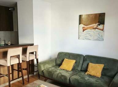 Dvosoban stan, Beograd, Južni bulevar, izdavanje, 50m2, 800e, id1477938