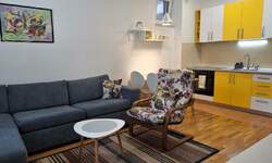 Jednoiposoban stan, Novi Sad, izdavanje, 34m2, 360e, id1478365