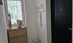 Jednosoban stan, Novi Sad, izdavanje, 35m2, 300e, id1478369