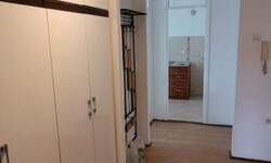 Dvosoban stan, Novi Sad, izdavanje, 52m2, 400e, id1478425