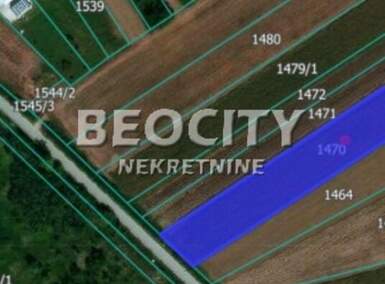 Plac, Beograd, Dobanovci, prodaja, 6400m2, 256000e, id1478594