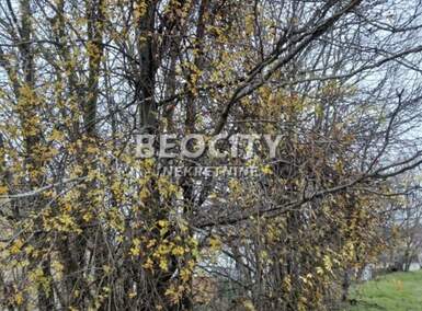 Plac, Novi Sad, prodaja, 1100m2, 40000e, id1480118