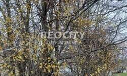 Plac, Novi Sad, prodaja, 1100m2, 35000e, id1480119