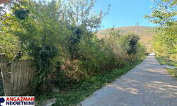 Plac, Boljevac - Ilino | Prodaja · 11431m² · 18.000€