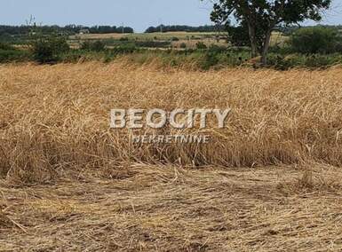 Plac, Beograd, Sremčica, prodaja, 10000m2, 400000e, id1480838