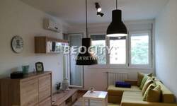 Dvosoban stan, Novi Sad, Centar, izdavanje, 39m2, 450e, id1480945