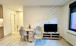 Cetvorosoban stan, Beograd, Dušanovac, izdavanje, 92m2, 700e, id1481038