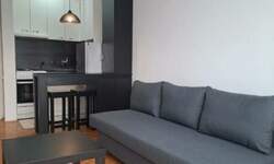 Garsonjera, Novi Sad, izdavanje, 21m2, 280e, id1481051