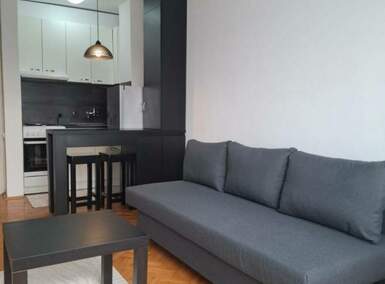 Garsonjera, Novi Sad, izdavanje, 21m2, 280e, id1481051