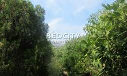 Plac, Beograd, Višnjica, prodaja, 1400m2, 190000e, id1481610