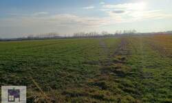 Plac, Beograd, Ratari, prodaja, 0m2, 18000e, id1481636