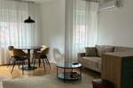 Dvosoban stan, Novi Sad, izdavanje, 47m2, 500e, id1481659
