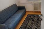 Jednoiposoban stan, Novi Sad, izdavanje, 41m2, 430e, id1481682