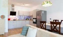 Jednoiposoban stan, Novi Sad, izdavanje, 52m2, 400e, id1481694