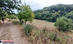 Plac, Boljevac, Dobro Polje, prodaja, 10321m2, 4000e, id1481759