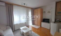 Jednosoban stan, Novi Sad, Centar, izdavanje, 25m2, 300e, id1482113