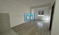 Jednosoban stan, Jagodina, izdavanje, 40m2, 250e, id1482284