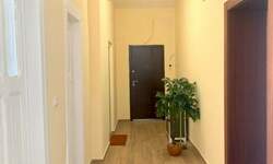 Dvosoban stan, Beograd, Zemun-centar, izdavanje, 57m2, 900e, id1482327