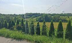 Plac, Beograd, Sibnica, prodaja, 0m2, 12000e, id1483308