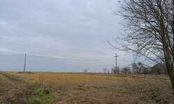 Plac, Beograd, Zvečka, prodaja, 0m2, 14000e, id1483370