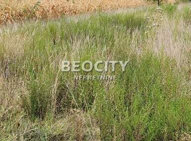 Plac, Beograd, Sremčica, prodaja, 15100m2, 455333e, id1483853