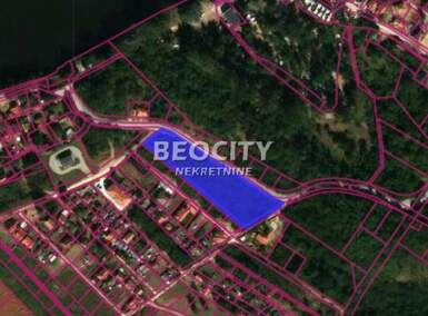 Plac, Veliko Gradište, Srebrno Jezero, prodaja, 5900m2, 270000e, id1484949