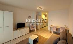 Jednosoban stan, Novi Sad, Centar, izdavanje, 25m2, 320e, id1485236