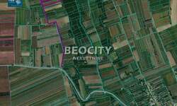 Plac, Irig, Rivica, prodaja, 10900m2, 31000e, id1485474