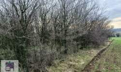 Plac, Beograd, Jasenak, prodaja, 0m2, 9500e, id1485489