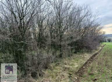 Plac, Beograd, Jasenak, prodaja, 0m2, 9500e, id1485489