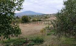 Plac, Beograd - Ripanj | Prodaja · 5000m² · 29.900€