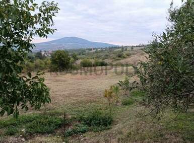 Plac, Beograd, Ripanj, prodaja, 5000m2, 29900e, id1485599